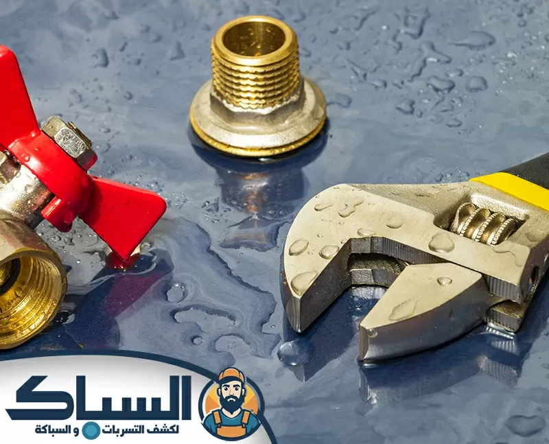 شبكة السباكة