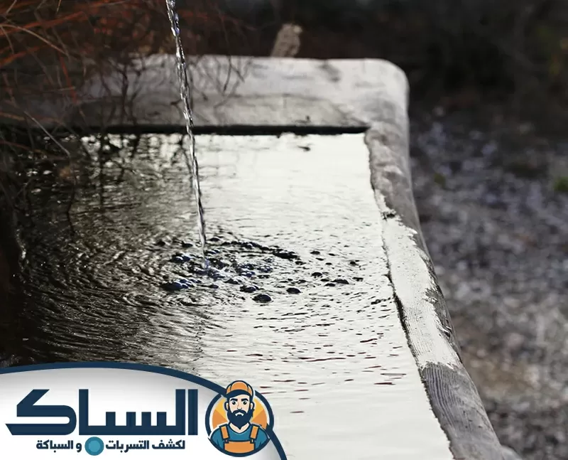 أفضل حلول تصريف المياه في الحدائق والمسطحات الخضراء