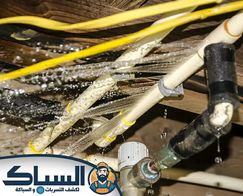 شركة كشف تسربات المياه في عجمان