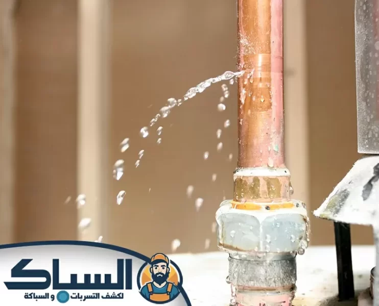 شركة كشف تسربات المياه في الشارقة