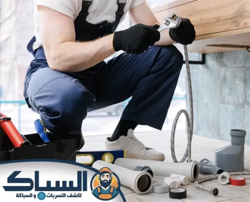 تأسيس سباكة الفلل والقصور في العين